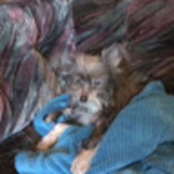 Meet your Posher, Retha - Picture 1 of 1